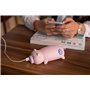 Batería Externa Portátil 10000 mAh Diseño Piggy Domars - 2