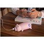 Piggy Power Bank 10000 mAh Domars - 2