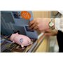 Batteria esterna portatile 10000 mAh Design Piggy Domars - 5