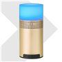 Mini Bluetooth-luidspreker en LED-lamp BL649 Favorever - 1