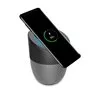 A1 Mini Bluetooth-luidspreker en Qi-compatibele draadloze oplader en dockingstation Ilepo - 2