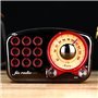 Retro Design Bluetooth Speaker with FM-Radio Fuyin - 14