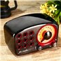 Mini Haut-Parleur Bluetooth Design Rétro et Radio-FM Fuyin - 15