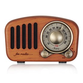 Mini Haut-Parleur Bluetooth Design Rétro et Radio-FM Fuyin - 1