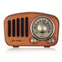 Mini Haut-Parleur Bluetooth Design Rétro et Radio-FM Fuyin - 1