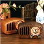 Retro Design Bluetooth Speaker with FM-Radio Fuyin - 13