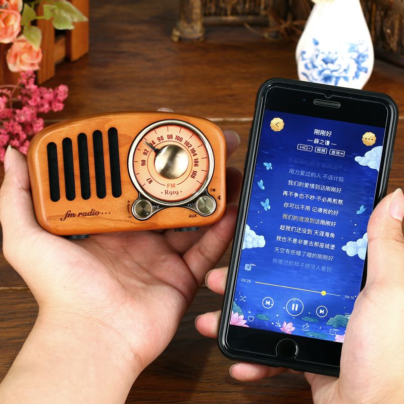 Mini Haut-Parleur Bluetooth Design Rétro et Radio-FM R919-A/C