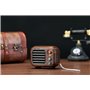 Retro Design Bluetooth Speaker with FM-Radio Fuyin - 4