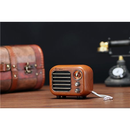Mini Retro Design Bluetooth-Lautsprecherund FM-Radio R918-A/C Fuyin - 5