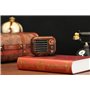 Retro Design Bluetooth Speaker with FM-Radio Fuyin - 6