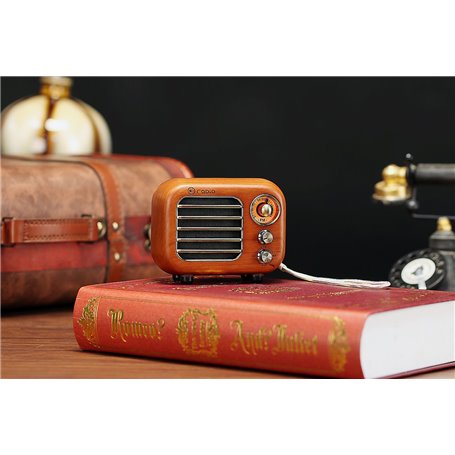 Mini Retro Design Bluetooth-Lautsprecherund FM-Radio R918-A/C Fuyin - 7