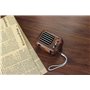 Retro Design Bluetooth Speaker with FM-Radio Fuyin - 9