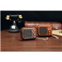 Retro Design Bluetooth Speaker with FM-Radio R918-A/C Fuyin - 10