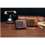 Retro Design Bluetooth Speaker with FM-Radio Fuyin - 10