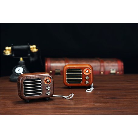 Mini Retro Design Bluetooth-Lautsprecherund FM-Radio R918-A/C Fuyin - 11