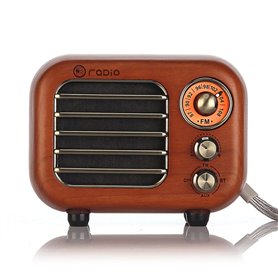 Mini Haut-Parleur Bluetooth Design Rétro et Radio-FM Fuyin - 1