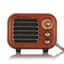 Mini Haut-Parleur Bluetooth Design Rétro et Radio-FM Fuyin - 1