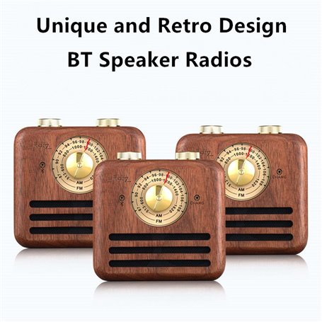 Altoparlante Bluetooth Mini design retrò e radio FM R917-A Fuyin - 13