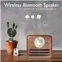 Retro Design Bluetooth-högtalare med FM-radio R917-A Fuyin - 14