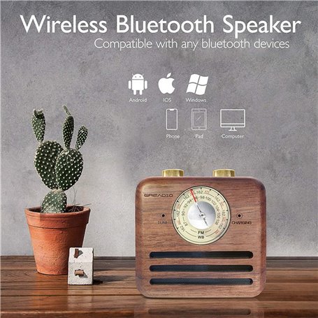 Altoparlante Bluetooth Mini design retrò e radio FM R917-A Fuyin - 14