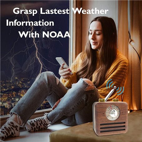 Altoparlante Bluetooth Mini design retrò e radio FM R917-A Fuyin - 16
