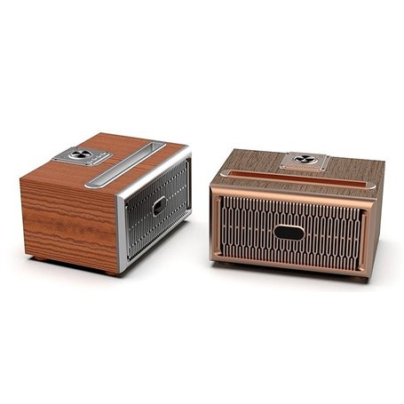 Mini Haut-Parleur Bluetooth Design Rétro et Radio-FM Favorever - 1