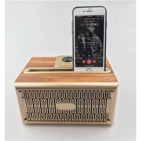 Mini głośnik Bluetooth w stylu retro i radio FM W06 Favorever - 3