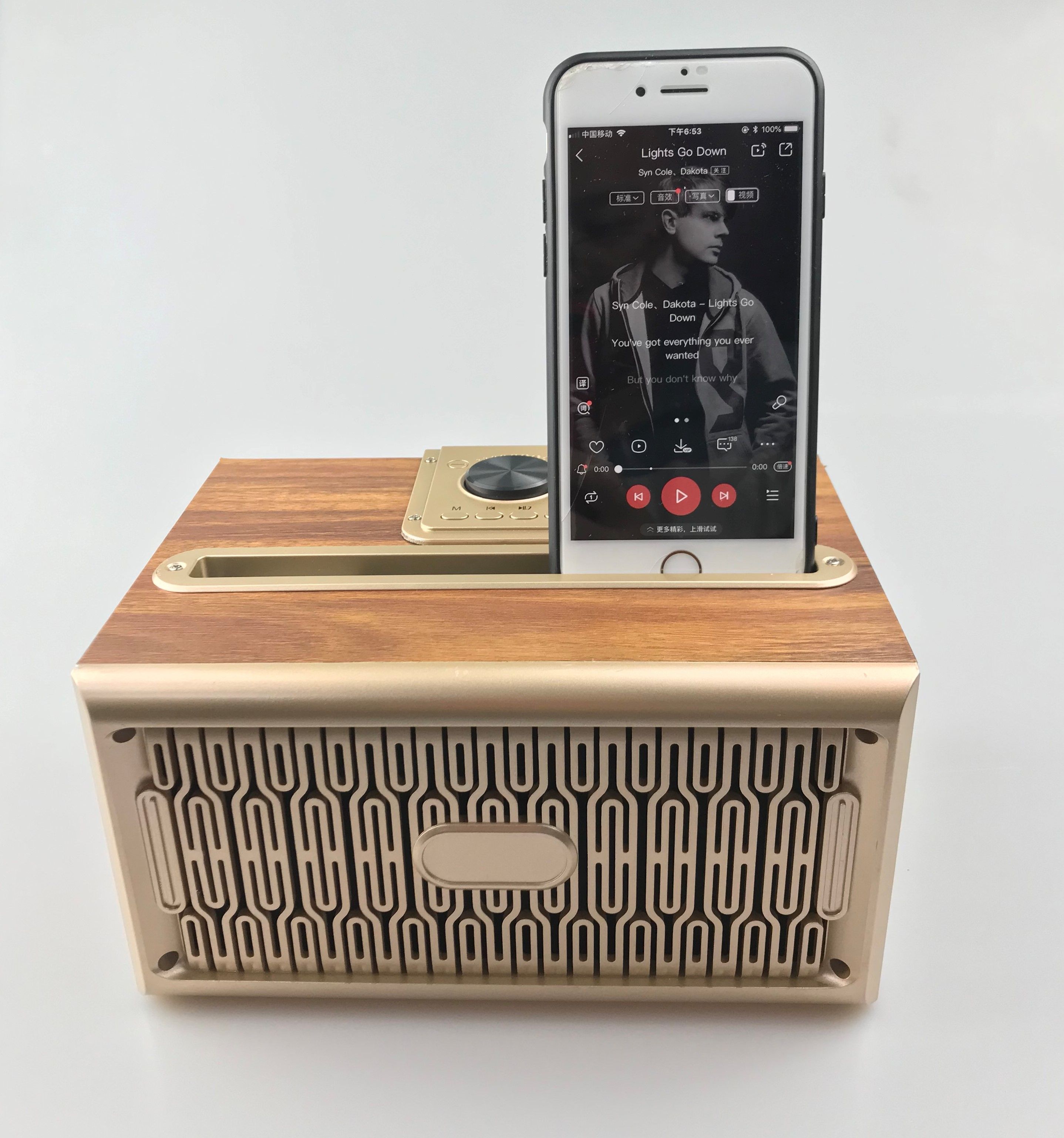 Sumsoctber Retro Lautsprecher Mit FM Radio | Bluetooth 5.0 & Vinyl Design | Kabelloser Musikgenuss