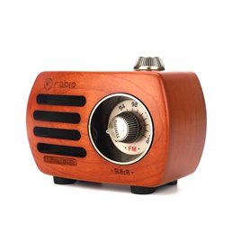 Mini Haut-Parleur Bluetooth Design Rétro et Radio-FM Fuyin - 1