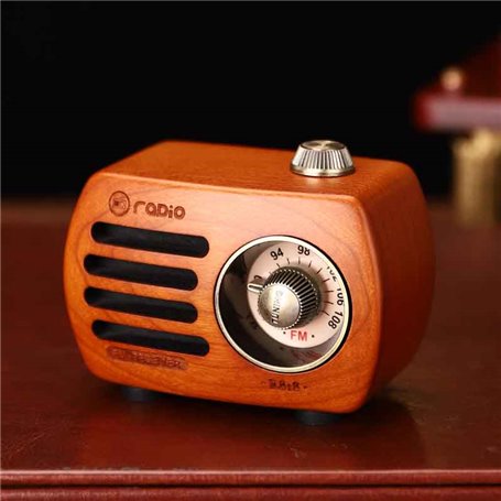 Mini Haut-Parleur Bluetooth Design Rétro et Radio-FM R818-A/C Fuyin - 7