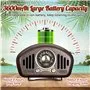 Altoparlante Bluetooth Mini design retrò e radio FM R909-A/C Fuyin - 20