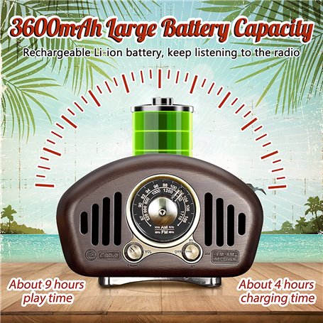 Mini głośnik Bluetooth w stylu retro i radio FM R909-A/C Fuyin - 20