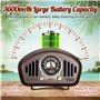 Retro Design Bluetooth Speaker with FM-Radio Fuyin - 20