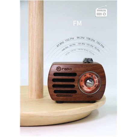 Mini Haut-Parleur Bluetooth Design Rétro et Radio-FM R818-A/C Fuyin - 11