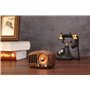 Retro Design Bluetooth Speaker with FM-Radio Fuyin - 3