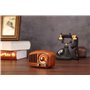 Retro Design Bluetooth Speaker with FM-Radio Fuyin - 4