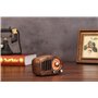 Retro Design Bluetooth Speaker with FM-Radio Fuyin - 19