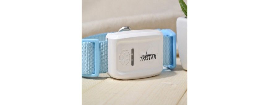 GPS Trackers and Watches